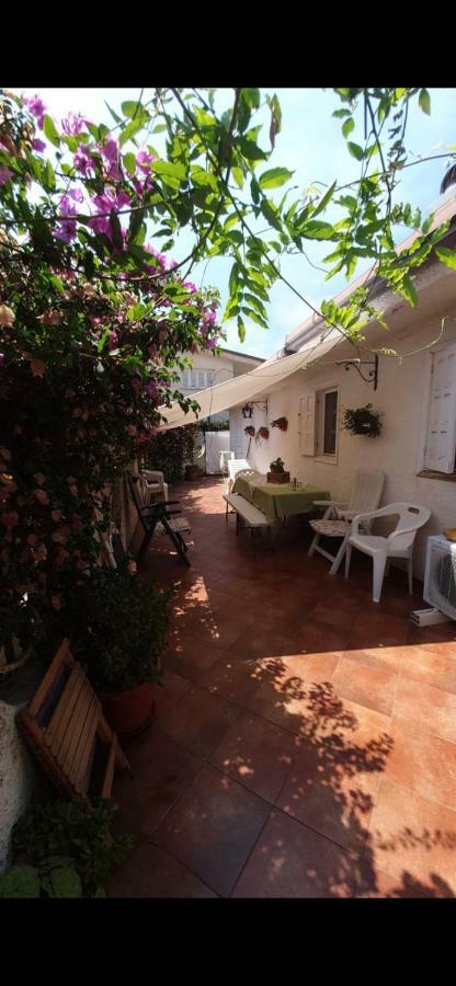 ספרלונגה Casa Susy Bouganville 400 Mt Dal Mare מראה חיצוני תמונה