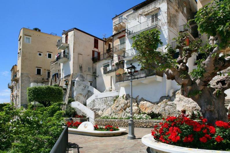 ספרלונגה Casa Susy Bouganville 400 Mt Dal Mare מראה חיצוני תמונה